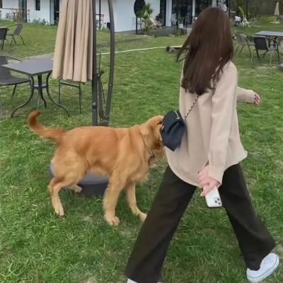 森之传说